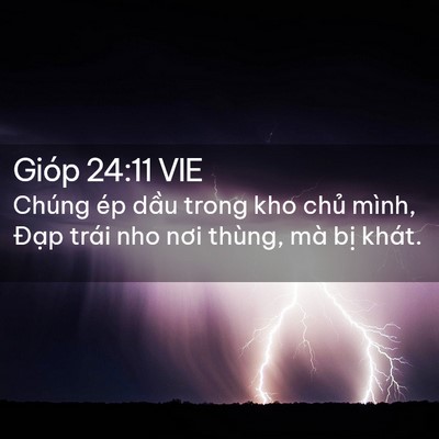 Picture 02 - Gióp 24:11 VIE - Chúng ép dầu trong kho chủ mình, Đạp - Bible Verse Picture