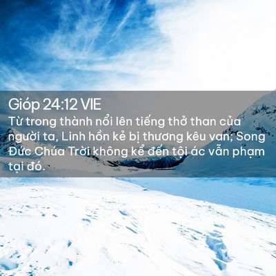 Picture 02 - Gióp 24:12 VIE - Từ trong thành nổi lên tiếng thở than - Bible Verse Picture