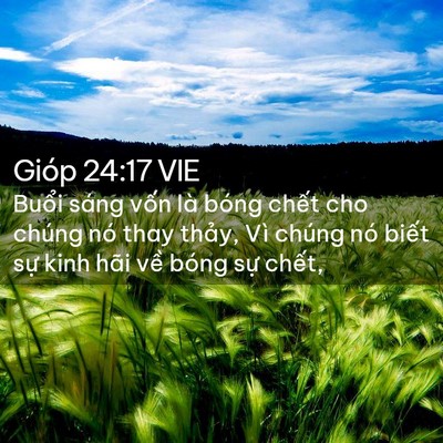 Picture 02 - Gióp 24:17 VIE - Buổi sáng vốn là bóng chết cho chúng - Bible Verse Picture