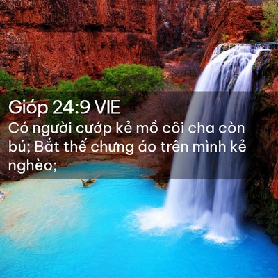 Picture 02 - Gióp 24:9 VIE - Có người cướp kẻ mồ côi cha còn bú; - Bible Verse Picture