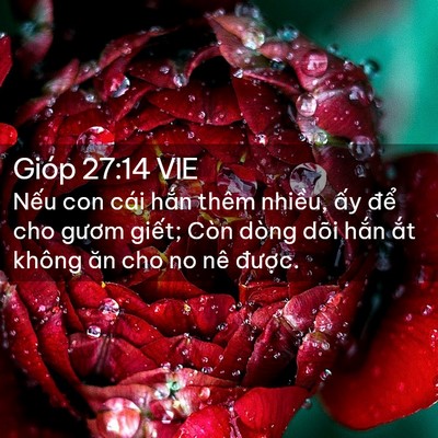 Picture 02 - Gióp 27:14 VIE - Nếu con cái hắn thêm nhiều, ấy để - Bible Verse Picture