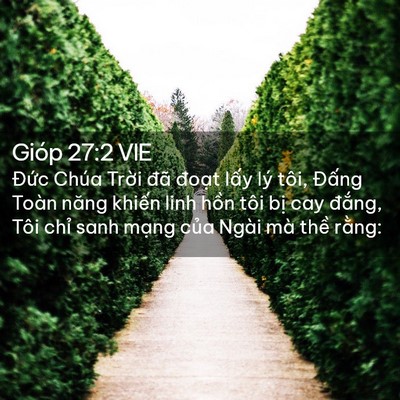 Picture 02 - Gióp 27:2 VIE - Đức Chúa Trời đã đoạt lấy lý tôi, - Bible Verse Picture
