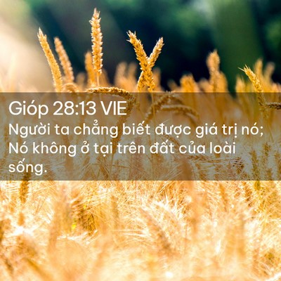 Picture 02 - Gióp 28:13 VIE - Người ta chẳng biết được giá trị - Bible Verse Picture