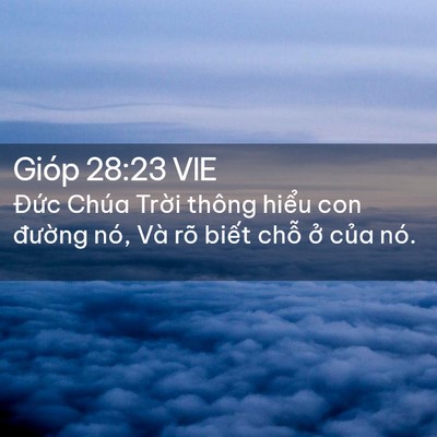 Picture 02 - Gióp 28:23 VIE - Đức Chúa Trời thông hiểu con đường - Bible Verse Picture