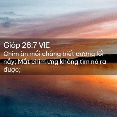 Picture 02 - Gióp 28:7 VIE - Chim ăn mồi chẳng biết đường lối - Bible Verse Picture