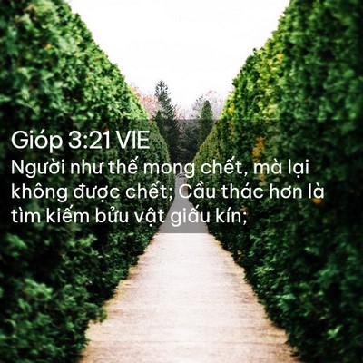 Picture 02 - Gióp 3:21 VIE - Người như thế mong chết, mà lại không - Bible Verse Picture