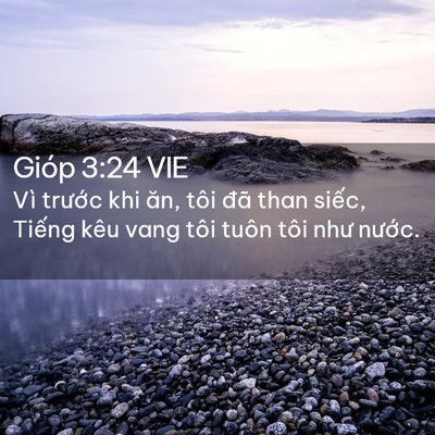 Picture 02 - Gióp 3:24 VIE - Vì trước khi ăn, tôi đã than siếc, - Bible Verse Picture