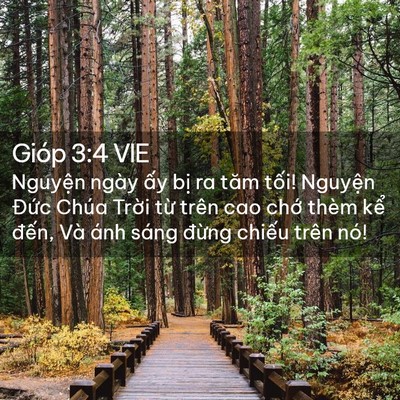 Picture 02 - Gióp 3:4 VIE - Nguyện ngày ấy bị ra tăm tối! Nguyện - Bible Verse Picture