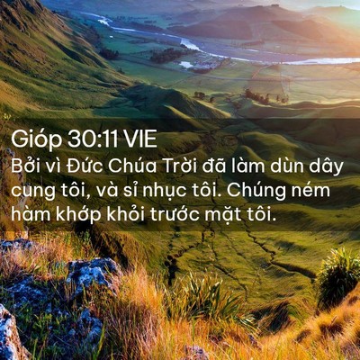 Picture 02 - Gióp 30:11 VIE - Bởi vì Đức Chúa Trời đã làm dùn dây - Bible Verse Picture