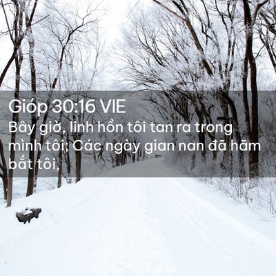 Picture 02 - Gióp 30:16 VIE - Bây giờ, linh hồn tôi tan ra trong mình - Bible Verse Picture