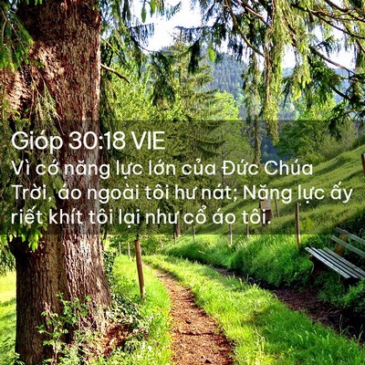 Picture 02 - Gióp 30:18 VIE - Vì cớ năng lực lớn của Đức Chúa - Bible Verse Picture