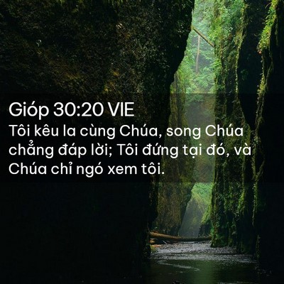Picture 02 - Gióp 30:20 VIE - Tôi kêu la cùng Chúa, song Chúa chẳng - Bible Verse Picture