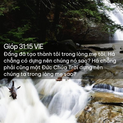 Picture 02 - Gióp 31:15 VIE - Đấng đã tạo thành tôi trong lòng mẹ - Bible Verse Picture