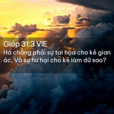Picture 02 - Gióp 31:3 VIE - Há chẳng phải sự tai họa cho kẻ gian - Bible Verse Picture