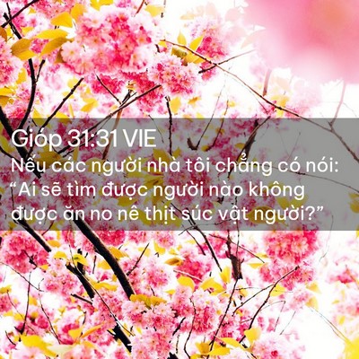 Picture 02 - Gióp 31:31 VIE - Nếu các người nhà tôi chẳng có nói: - Bible Verse Picture