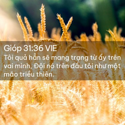 Picture 02 - Gióp 31:36 VIE - Tôi quả hẳn sẽ mang trạng từ ấy - Bible Verse Picture