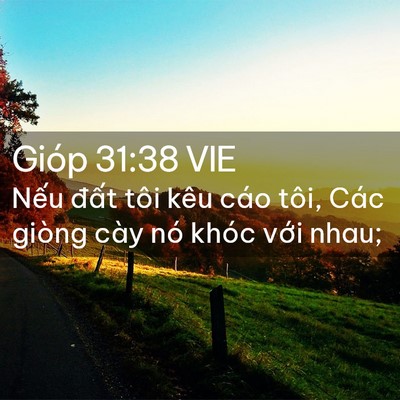 Picture 02 - Gióp 31:38 VIE - Nếu đất tôi kêu cáo tôi, Các giòng - Bible Verse Picture