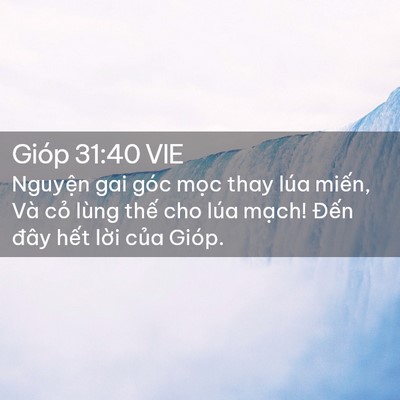 Picture 02 - Gióp 31:40 VIE - Nguyện gai góc mọc thay lúa miến, Và - Bible Verse Picture