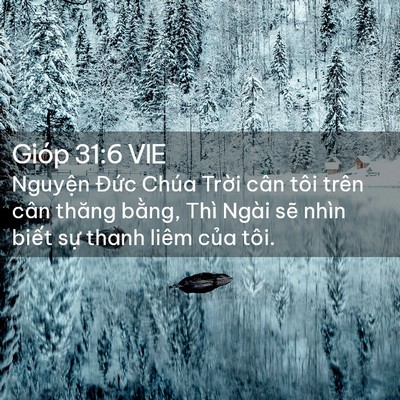 Picture 02 - Gióp 31:6 VIE - Nguyện Đức Chúa Trời cân tôi trên cân - Bible Verse Picture