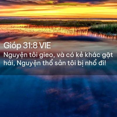 Picture 02 - Gióp 31:8 VIE - Nguyện tôi gieo, và có kẻ khác gặt - Bible Verse Picture
