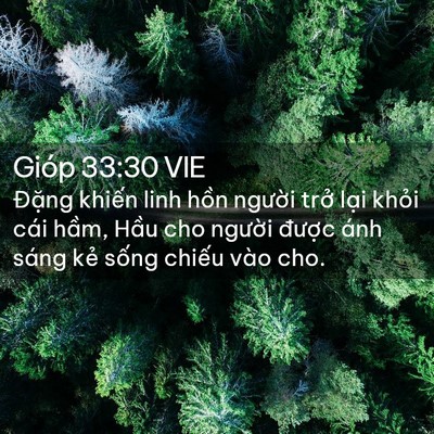 Picture 02 - Gióp 33:30 VIE - Đặng khiến linh hồn người trở lại - Bible Verse Picture