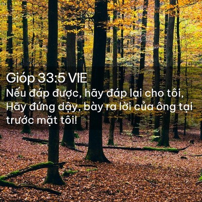 Picture 02 - Gióp 33:5 VIE - Nếu đáp được, hãy đáp lại cho tôi, - Bible Verse Picture