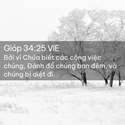 Picture 02 - Gióp 34:25 VIE - Bởi vì Chúa biết các công việc chúng, - Bible Verse Picture