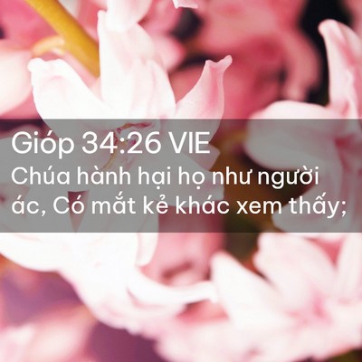 Picture 02 - Gióp 34:26 VIE - Chúa hành hại họ như người ác, Có - Bible Verse Picture