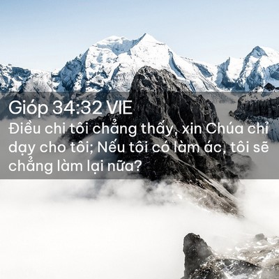 Picture 02 - Gióp 34:32 VIE - Điều chi tôi chẳng thấy, xin Chúa chỉ - Bible Verse Picture