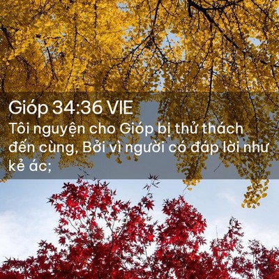Picture 02 - Gióp 34:36 VIE - Tôi nguyện cho Gióp bị thử thách đến - Bible Verse Picture