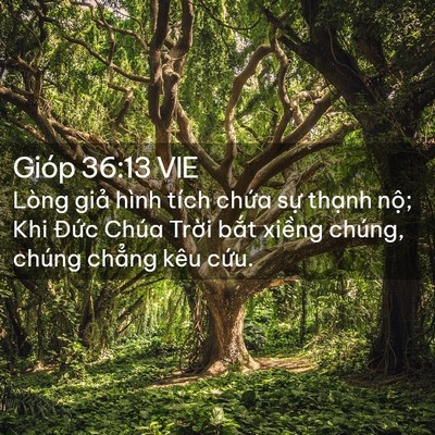 Picture 02 - Gióp 36:13 VIE - Lòng giả hình tích chứa sự thạnh nộ; - Bible Verse Picture