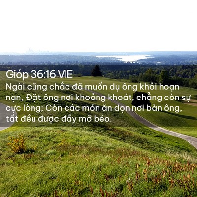 Picture 02 - Gióp 36:16 VIE - Ngài cũng chắc đã muốn dụ ông khỏi - Bible Verse Picture