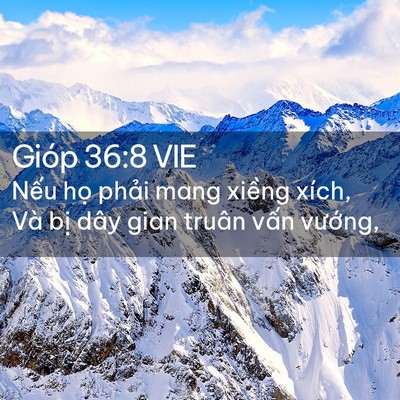 Picture 02 - Gióp 36:8 VIE - Nếu họ phải mang xiềng xích, Và bị - Bible Verse Picture