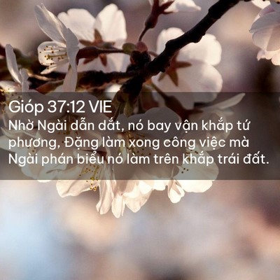 Picture 02 - Gióp 37:12 VIE - Nhờ Ngài dẫn dắt, nó bay vận khắp - Bible Verse Picture