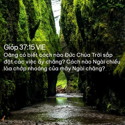 Picture 02 - Gióp 37:15 VIE - Oâng có biết cách nào Đức Chúa Trời - Bible Verse Picture