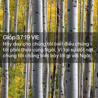 Picture 02 - Gióp 37:19 VIE - Hãy dạy cho chúng tôi biết điều chúng - Bible Verse Picture