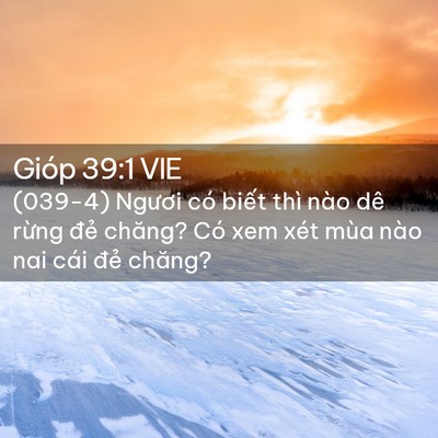 Picture 02 - Gióp 39:1 VIE - (039-4) Ngươi có biết thì nào dê rừng - Bible Verse Picture