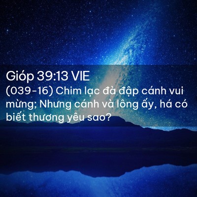Picture 02 - Gióp 39:13 VIE - (039-16) Chim lạc đà đập cánh vui mừng; - Bible Verse Picture