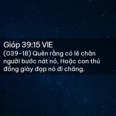 Picture 02 - Gióp 39:15 VIE - (039-18) Quên rằng có lẽ chân người - Bible Verse Picture