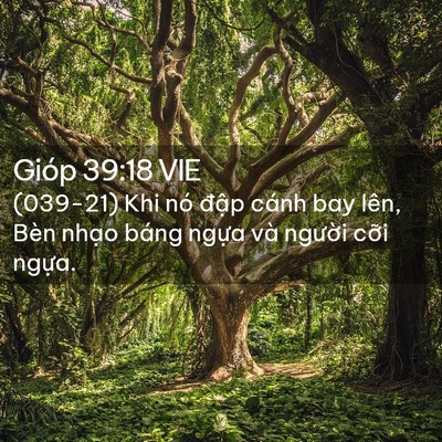 Picture 02 - Gióp 39:18 VIE - (039-21) Khi nó đập cánh bay lên, Bèn - Bible Verse Picture
