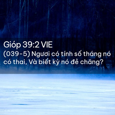 Picture 02 - Gióp 39:2 VIE - (039-5) Ngươi có tính số tháng nó có - Bible Verse Picture