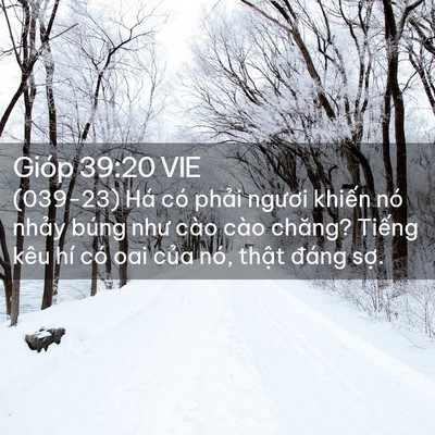 Picture 02 - Gióp 39:20 VIE - (039-23) Há có phải ngươi khiến nó - Bible Verse Picture