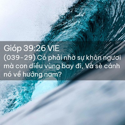 Picture 02 - Gióp 39:26 VIE - (039-29) Có phải nhờ sự khôn ngươi mà - Bible Verse Picture