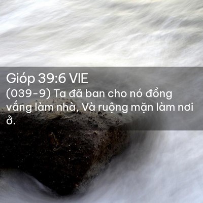 Picture 02 - Gióp 39:6 VIE - (039-9) Ta đã ban cho nó đồng vắng làm - Bible Verse Picture