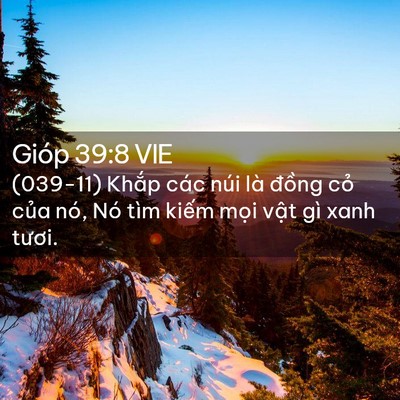 Picture 02 - Gióp 39:8 VIE - (039-11) Khắp các núi là đồng cỏ của - Bible Verse Picture