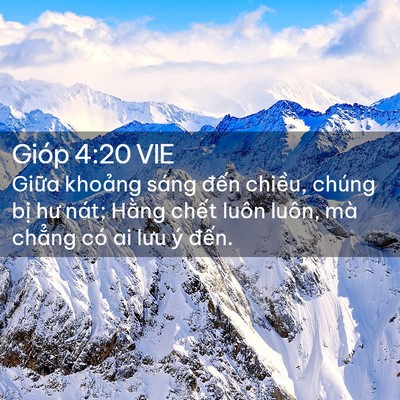 Picture 02 - Gióp 4:20 VIE - Giữa khoảng sáng đến chiều, chúng bị - Bible Verse Picture