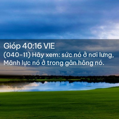Picture 02 - Gióp 40:16 VIE - (040-11) Hãy xem: sức nó ở nơi lưng, - Bible Verse Picture