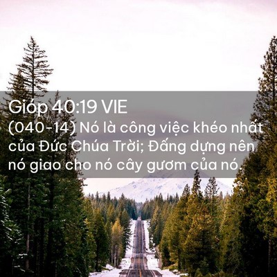 Picture 02 - Gióp 40:19 VIE - (040-14) Nó là công việc khéo nhất của - Bible Verse Picture