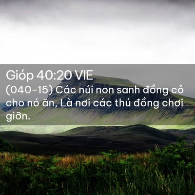 Picture 02 - Gióp 40:20 VIE - (040-15) Các núi non sanh đồng cỏ cho nó - Bible Verse Picture