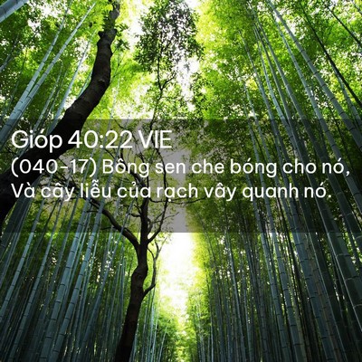 Picture 02 - Gióp 40:22 VIE - (040-17) Bông sen che bóng cho nó, Và cây - Bible Verse Picture